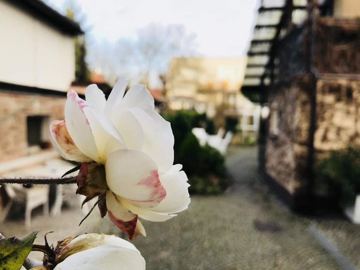 Villa Pod Orzechem Zaniemyśl Esterno foto
